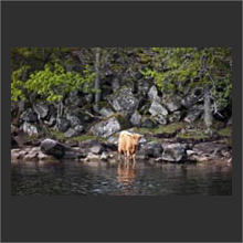 fischen 2009 112